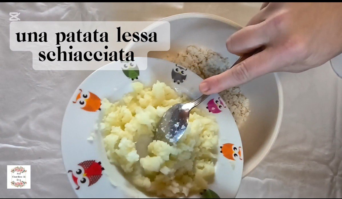 Screenshot_20260211-100630.Foto~2